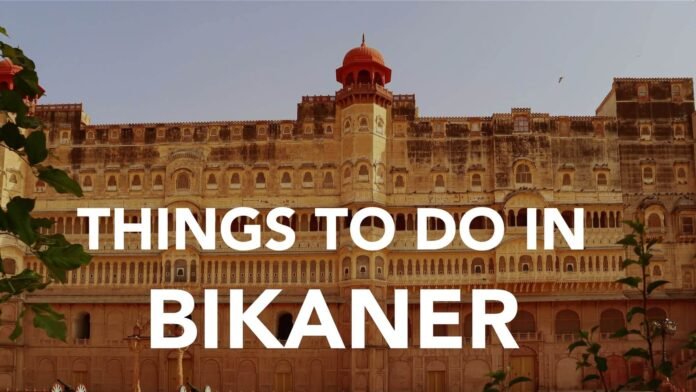 15 Fun Activities to Try in Bikaner