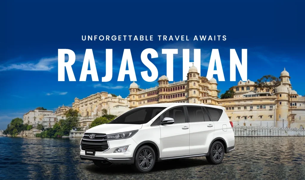 Wildlife Experiences