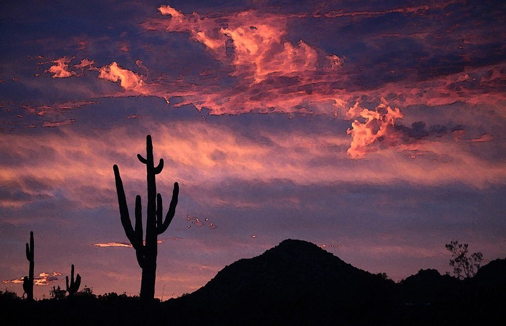 Jaisalmer Sightseeing Tour