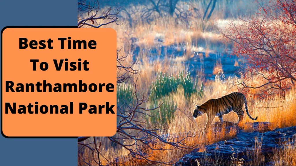 Ranthambore Safari Booking