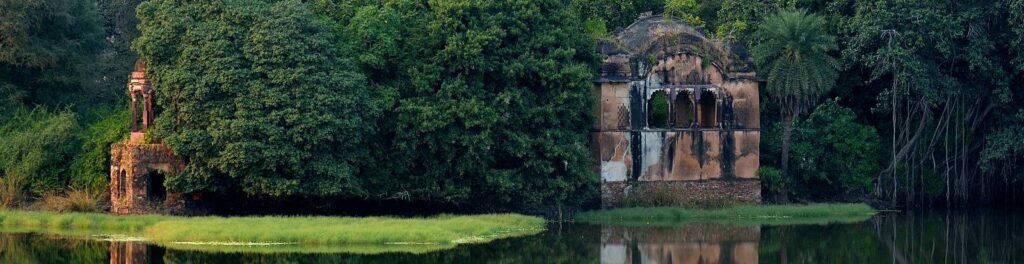 Ranthambore Jungle Safari