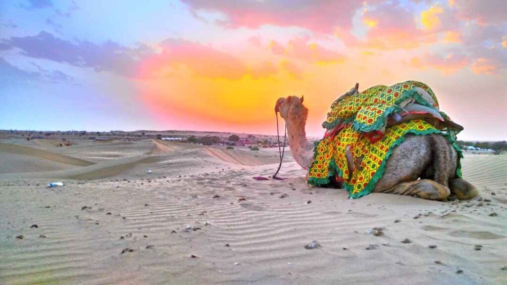 Jaisalmer Trip in Summer